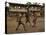 A Group of Panamanian Youths Slide Through the Mud During a Pick-Up Game of Soccer-null-Stretched Canvas