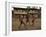 A Group of Panamanian Youths Slide Through the Mud During a Pick-Up Game of Soccer-null-Framed Premium Photographic Print