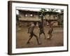 A Group of Panamanian Youths Slide Through the Mud During a Pick-Up Game of Soccer-null-Framed Photographic Print