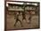 A Group of Panamanian Youths Slide Through the Mud During a Pick-Up Game of Soccer-null-Framed Photographic Print