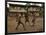 A Group of Panamanian Youths Slide Through the Mud During a Pick-Up Game of Soccer-null-Framed Photographic Print