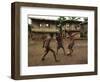A Group of Panamanian Youths Slide Through the Mud During a Pick-Up Game of Soccer-null-Framed Photographic Print
