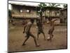 A Group of Panamanian Youths Slide Through the Mud During a Pick-Up Game of Soccer-null-Mounted Photographic Print