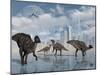 A Group of Parasaurolophus Duckbill Dinosaurs Gather at a Feeding Ground-Stocktrek Images-Mounted Photographic Print