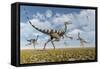 A Group of Pelecanimimus Dinosaurs Chasing Dragonflies-Stocktrek Images-Framed Stretched Canvas