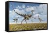 A Group of Pelecanimimus Dinosaurs Chasing Dragonflies-Stocktrek Images-Framed Stretched Canvas