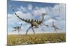 A Group of Pelecanimimus Dinosaurs Chasing Dragonflies-Stocktrek Images-Mounted Art Print