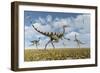 A Group of Pelecanimimus Dinosaurs Chasing Dragonflies-Stocktrek Images-Framed Art Print