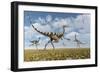 A Group of Pelecanimimus Dinosaurs Chasing Dragonflies-Stocktrek Images-Framed Art Print