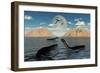 A Group of Plesiosaurs Relaxing on a Jurassic Day-Stocktrek Images-Framed Art Print