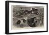 A Group of Poachers-null-Framed Giclee Print