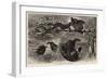A Group of Poachers-null-Framed Giclee Print