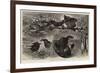 A Group of Poachers-null-Framed Giclee Print