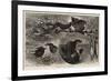 A Group of Poachers-null-Framed Giclee Print