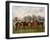 A Group of Polo Ponies, Dainty, Gold, Redskin, Miss Edge, and Piper, the Property of Sir Humphrey D-Henry Frederick Lucas-Lucas-Framed Giclee Print