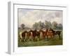 A Group of Polo Ponies, Dainty, Gold, Redskin, Miss Edge, and Piper, the Property of Sir Humphrey D-Henry Frederick Lucas-Lucas-Framed Giclee Print