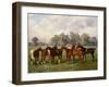 A Group of Polo Ponies, Dainty, Gold, Redskin, Miss Edge, and Piper-Henry Frederick Lucas-Lucas-Framed Giclee Print