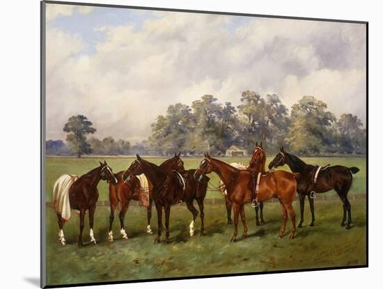 A Group of Polo Ponies, Dainty, Gold, Redskin, Miss Edge, and Piper-Henry Frederick Lucas-Lucas-Mounted Giclee Print