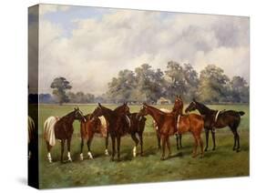 A Group of Polo Ponies, Dainty, Gold, Redskin, Miss Edge, and Piper-Henry Frederick Lucas-Lucas-Stretched Canvas