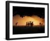 A Group of Red Deer, Cervus Elaphus, Silhouetted in Morning Glow.-Alex Saberi-Framed Photographic Print