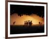 A Group of Red Deer, Cervus Elaphus, Silhouetted in Morning Glow.-Alex Saberi-Framed Photographic Print