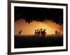 A Group of Red Deer, Cervus Elaphus, Silhouetted in Morning Glow.-Alex Saberi-Framed Photographic Print