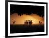 A Group of Red Deer, Cervus Elaphus, Silhouetted in Morning Glow.-Alex Saberi-Framed Photographic Print