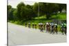 A group of road bicyclists traveling across highway 58 in CA-null-Stretched Canvas