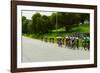 A group of road bicyclists traveling across highway 58 in CA-null-Framed Photographic Print