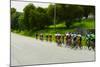 A group of road bicyclists traveling across highway 58 in CA-null-Mounted Photographic Print