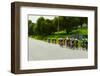 A group of road bicyclists traveling across highway 58 in CA-null-Framed Photographic Print