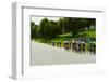 A group of road bicyclists traveling across highway 58 in CA-null-Framed Photographic Print