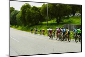 A group of road bicyclists traveling across highway 58 in CA-null-Mounted Photographic Print
