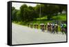 A group of road bicyclists traveling across highway 58 in CA-null-Framed Stretched Canvas