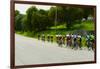 A group of road bicyclists traveling across highway 58 in CA-null-Framed Photographic Print