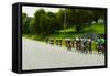 A group of road bicyclists traveling across highway 58 in CA-null-Framed Stretched Canvas