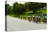 A group of road bicyclists traveling across highway 58 in CA-null-Stretched Canvas