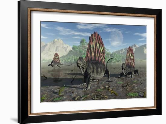 A Group of Sail-Backed Dimetrodons During Earth's Permian Period-Stocktrek Images-Framed Art Print