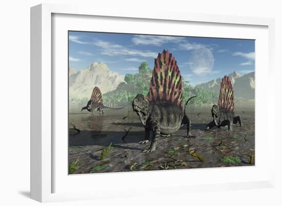 A Group of Sail-Backed Dimetrodons During Earth's Permian Period-Stocktrek Images-Framed Art Print