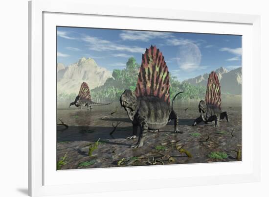 A Group of Sail-Backed Dimetrodons During Earth's Permian Period-Stocktrek Images-Framed Art Print