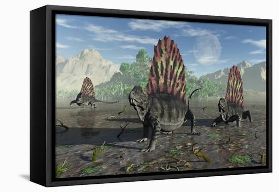 A Group of Sail-Backed Dimetrodons During Earth's Permian Period-Stocktrek Images-Framed Stretched Canvas