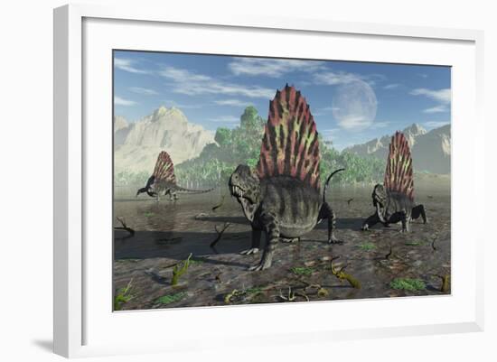 A Group of Sail-Backed Dimetrodons During Earth's Permian Period-Stocktrek Images-Framed Art Print