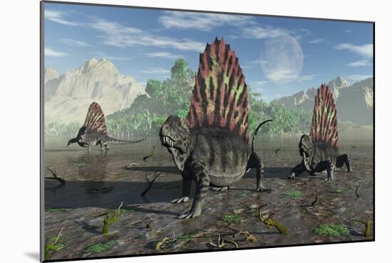 A Group of Sail-Backed Dimetrodons During Earth's Permian Period-Stocktrek Images-Mounted Premium Giclee Print