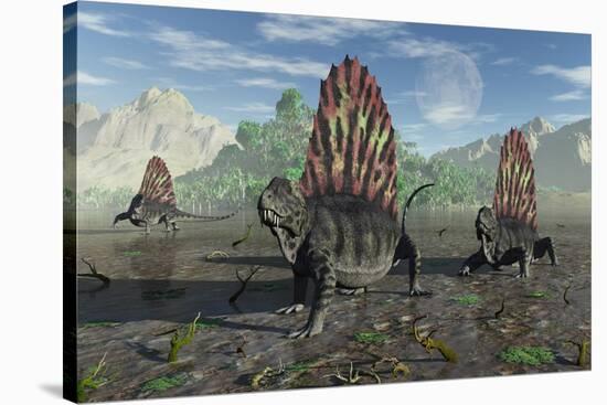 A Group of Sail-Backed Dimetrodons During Earth's Permian Period-Stocktrek Images-Stretched Canvas