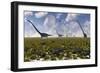 A Group of Sauropod and Hadrosaur Dinosaur Herds Grazing-null-Framed Art Print