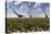A Group of Sauropod and Hadrosaur Dinosaur Herds Grazing-null-Stretched Canvas