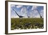 A Group of Sauropod and Hadrosaur Dinosaur Herds Grazing-null-Framed Art Print