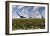 A Group of Sauropod and Hadrosaur Dinosaur Herds Grazing-null-Framed Premium Giclee Print