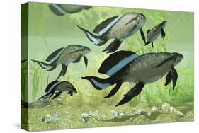 A Group of Scaumenacia Lobe-Finned Fish from the Devonian Period-null-Stretched Canvas