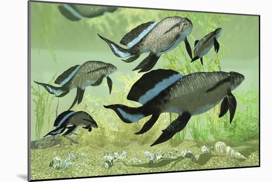 A Group of Scaumenacia Lobe-Finned Fish from the Devonian Period-null-Mounted Premium Giclee Print